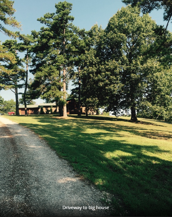 Driveway leading from south 14 to hilltop house